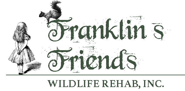 Franklin's Friends Wildlife Rehab, Inc. – Ohio